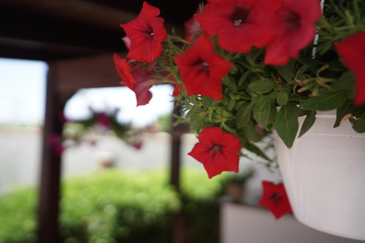 코쿠몰라 Salento Terra Maris B&B 외부 사진